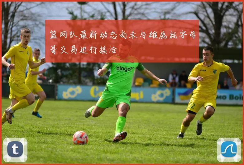 篮网队最新动态尚未与雄鹿就字母哥交易进行接洽