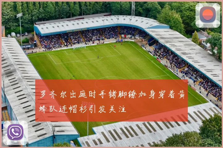 罗齐尔出庭时手铐脚镣加身穿着黄蜂队连帽衫引发关注